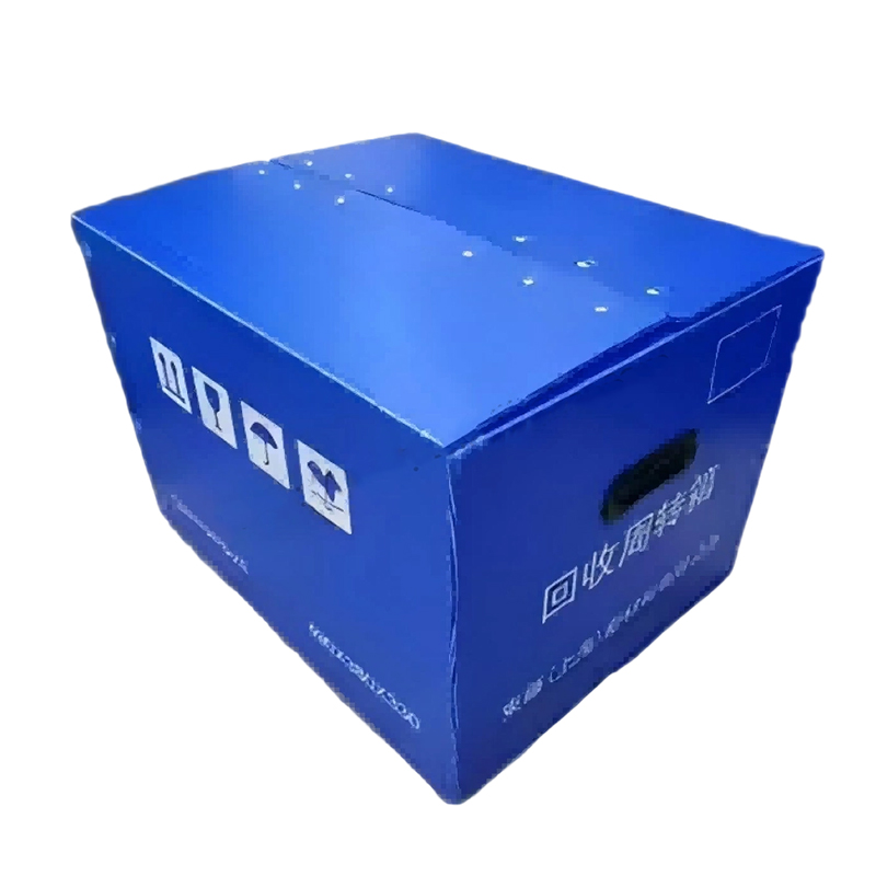 벨크로 뚜껑이 있는 휴대용 손 구멍 PP 골판지 플라스틱 이동 상자