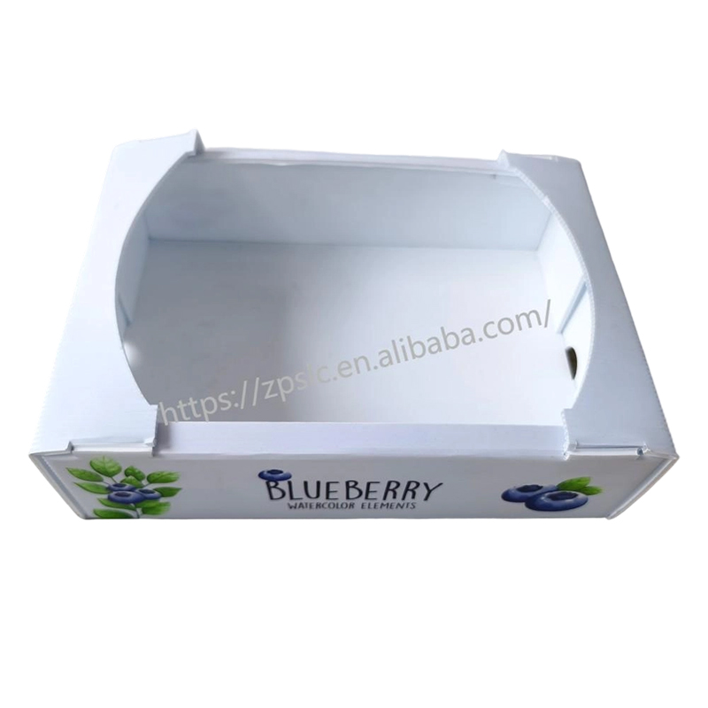 환기 구멍이 있는 접이식 PP 골판지 플라스틱 회전율 상자