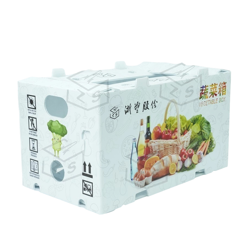 재사용 가능한 방수 PP Corflute 과일 상자